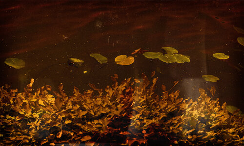 “Dream in the Heat of Night” by L. Besson, Photography for Sale on Singulart