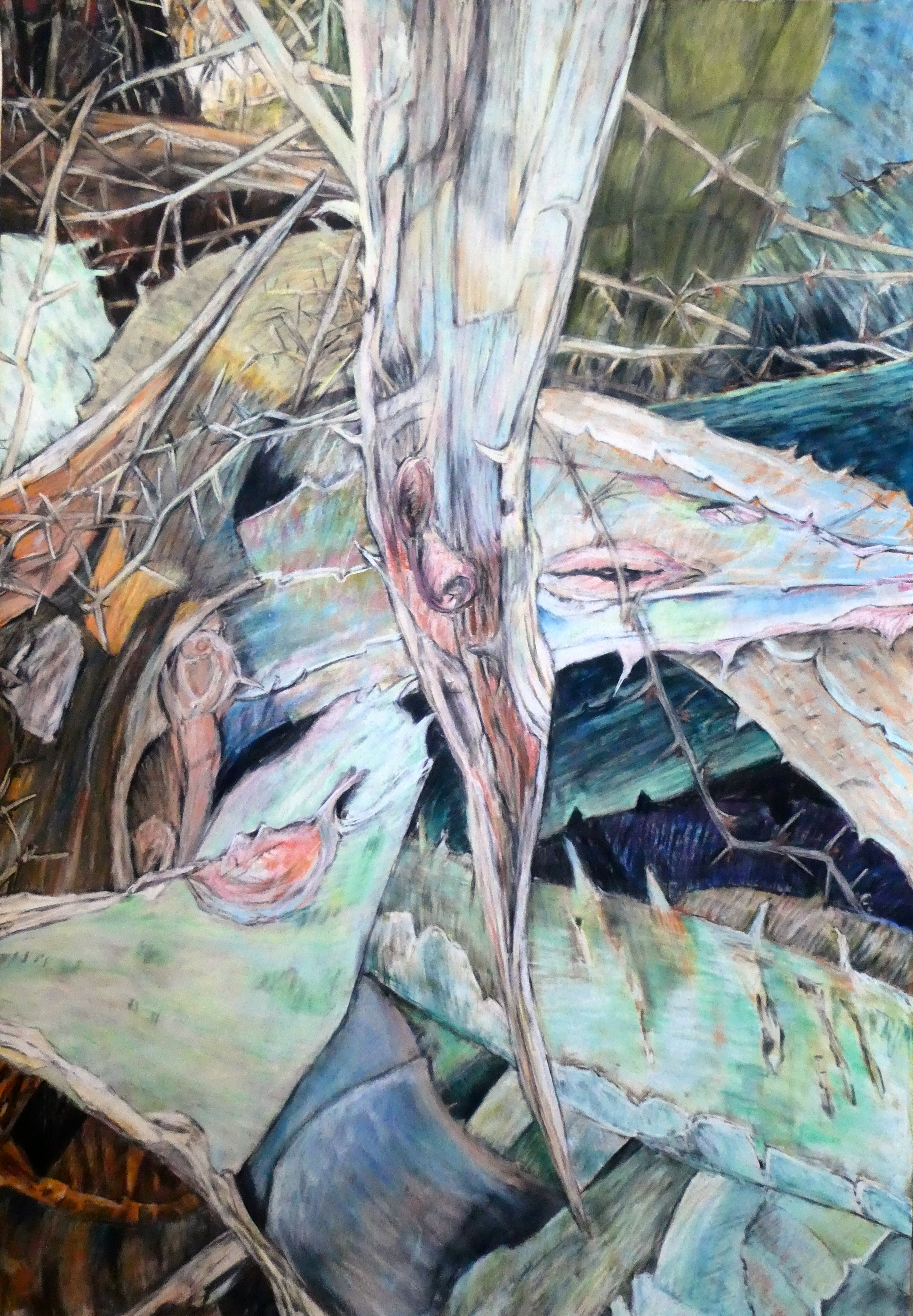 Tema Natural Pinturas