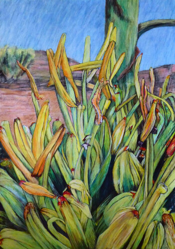 Agavenblüte 2 di Gabriele Kübler-Mohr, Pittura in vendita su Singulart