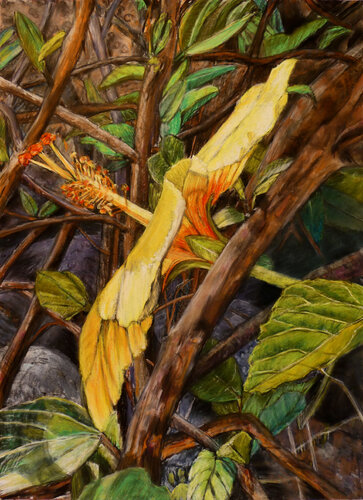 Blütenschimmer di Gabriele Kübler-Mohr, Pittura in vendita su Singulart