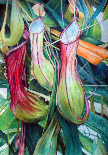 Blütenkelche van Gabriele Kübler-Mohr, Schilderij te koop op Singulart