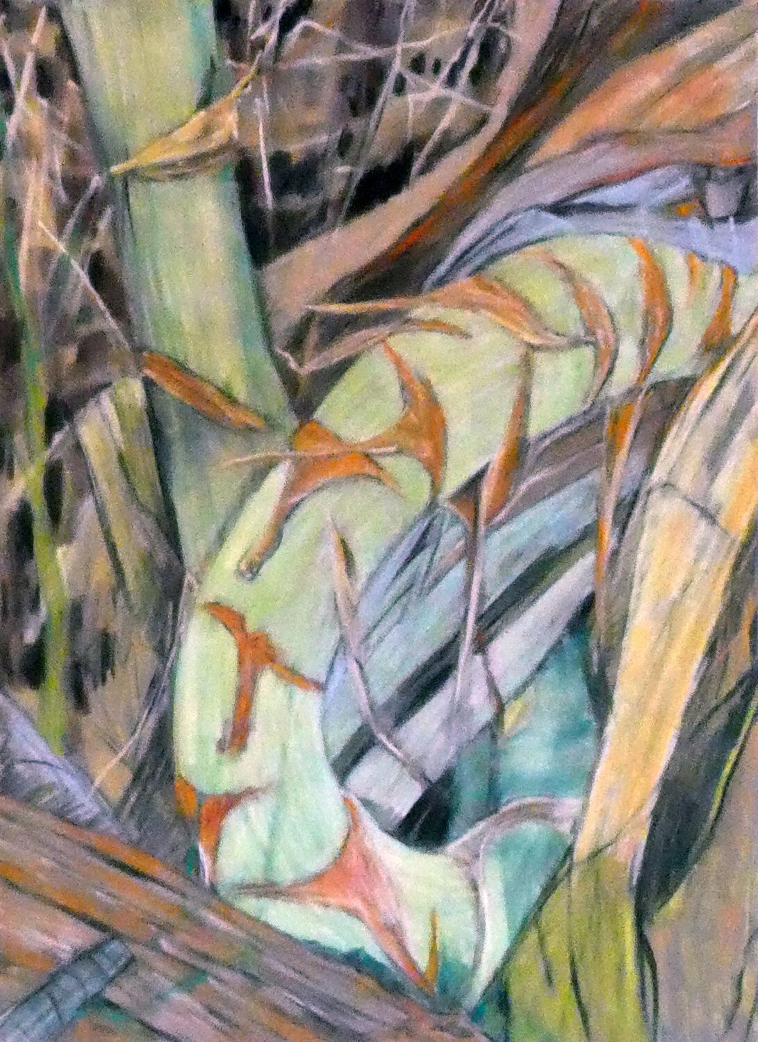 Agaventrieb Gabriele Kübler-Mohr