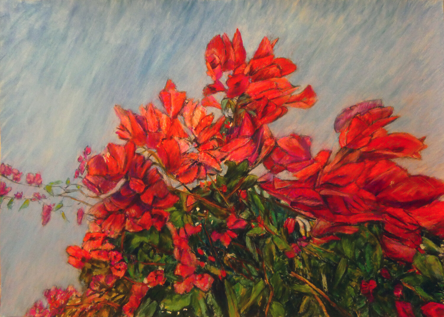 Purple Red Explosion Gabriele Kübler-Mohr