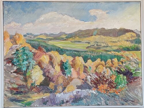 Ådal fra Lille Troldhøj Joern Bjerge