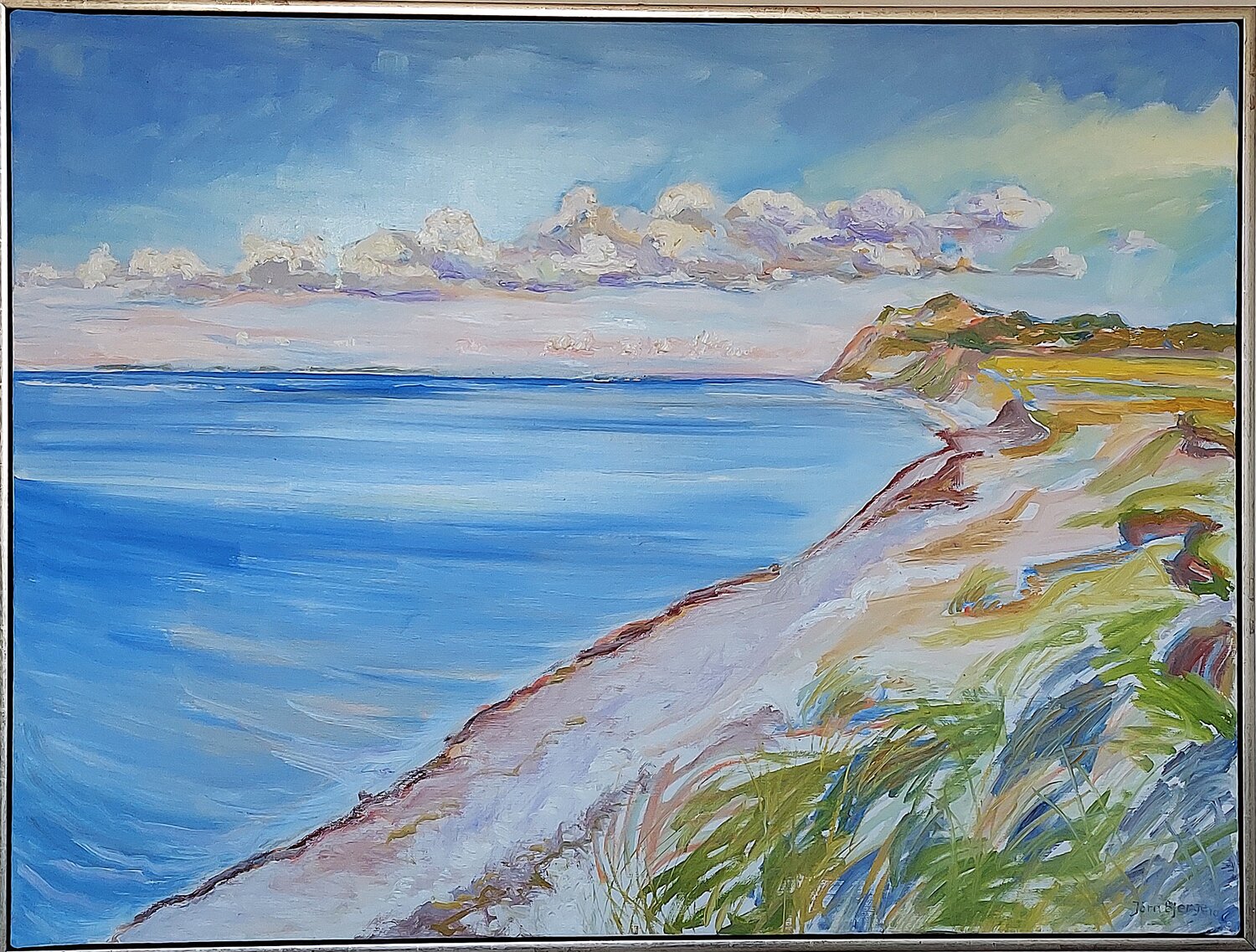 Udsigt Roenbjerg Joern Bjerge
