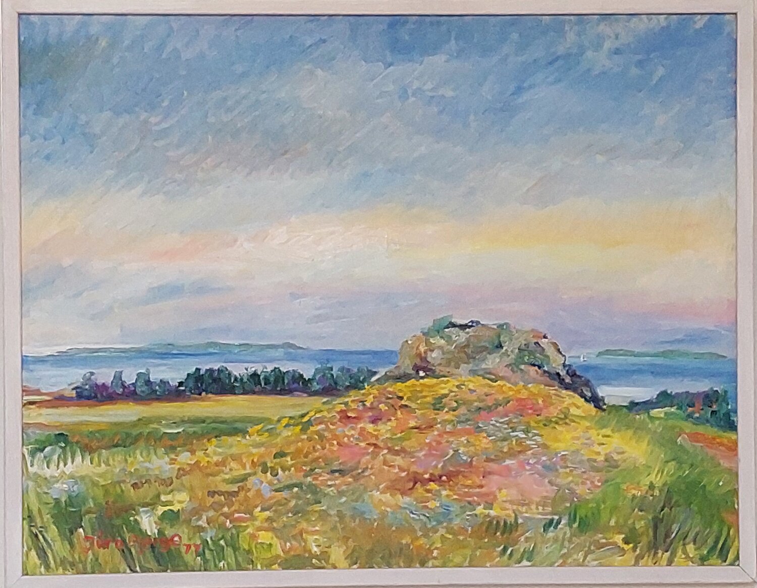 Bronzealderhøj Joern Bjerge