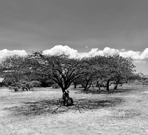 Rest di Kyla Johnk, Digitale in vendita su Singulart