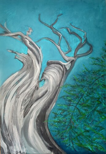 Bonsai van Kyla Johnk, Schilderij te koop op Singulart