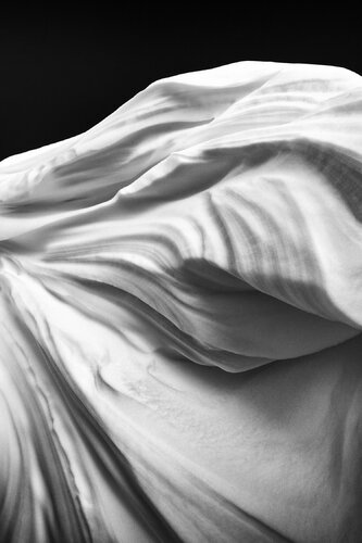 Nature's Sculpture by Lee Nordbye, 사진 for Sale on Singulart