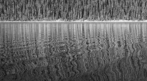 Mesmerized Lee Nordbye