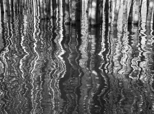 Jittery Calm von Lee Nordbye, Fotografie kaufen auf Singulart