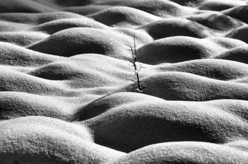 Alone Lee Nordbye