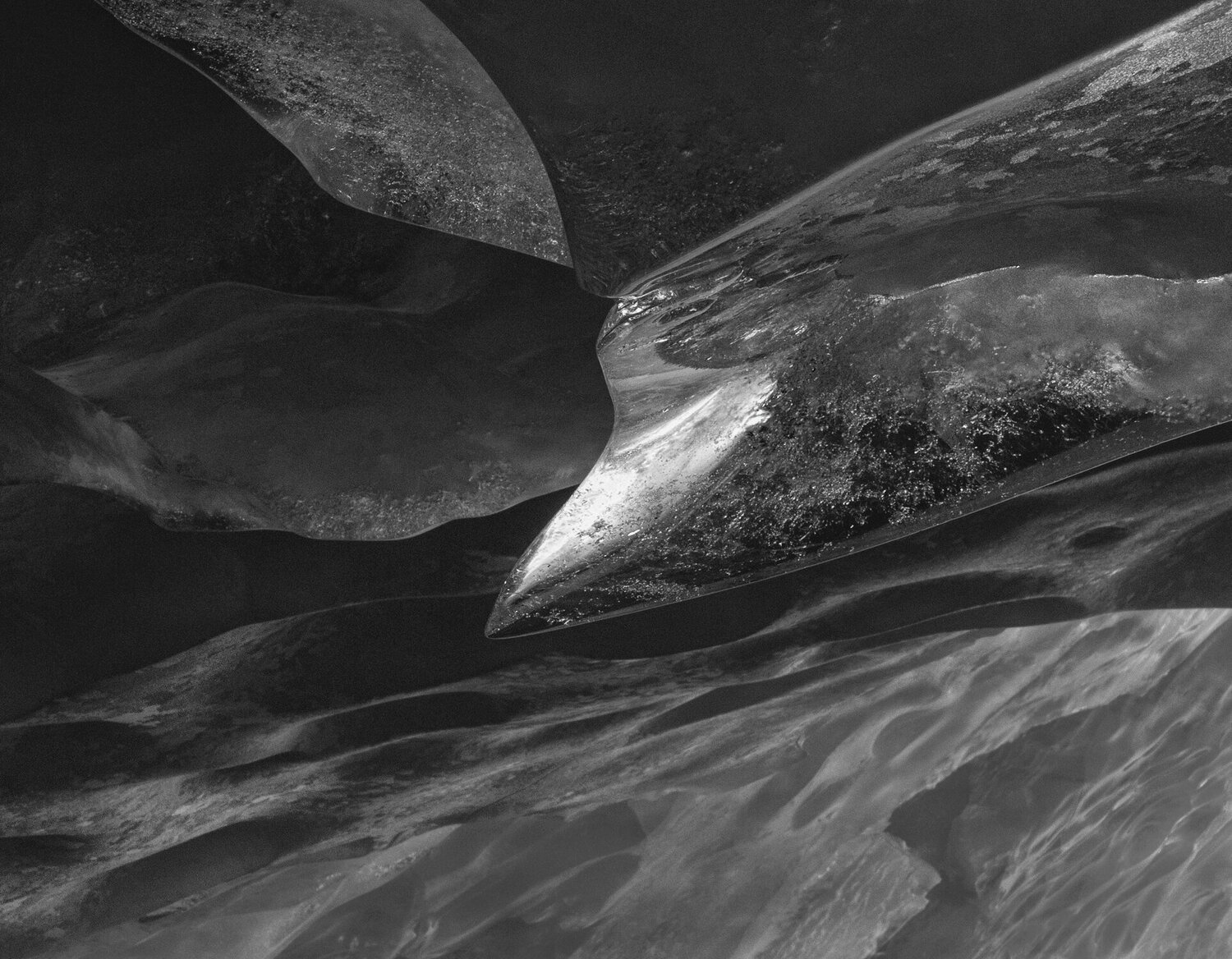 Migration Lee Nordbye