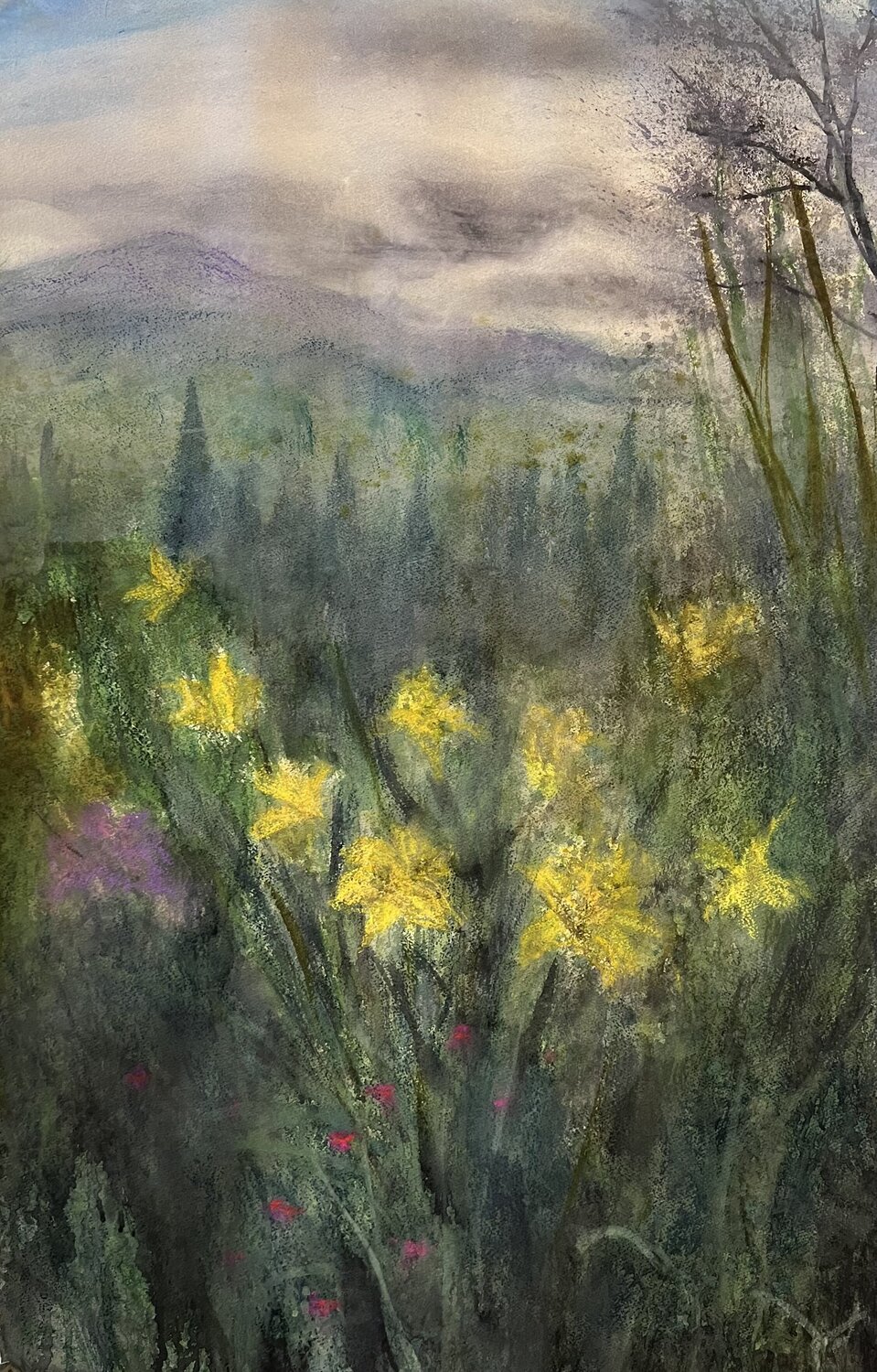 Daffodils Nina Hellman