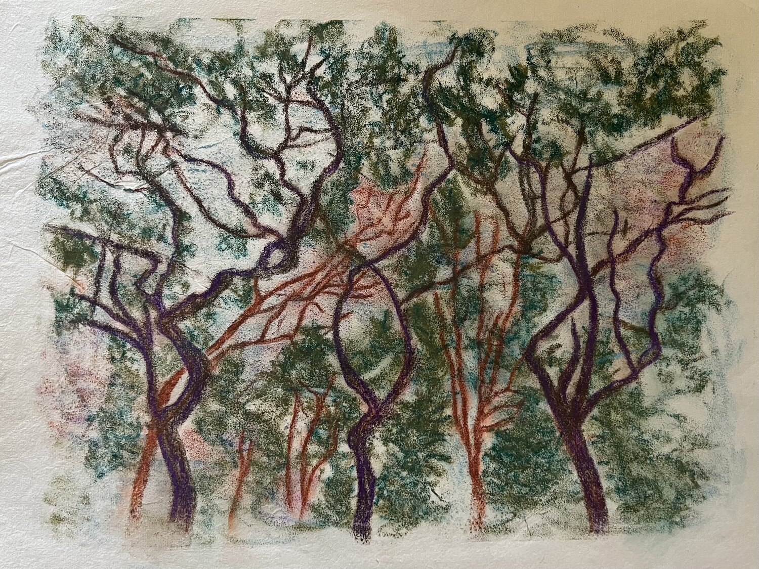 3 Trees Nina Hellman