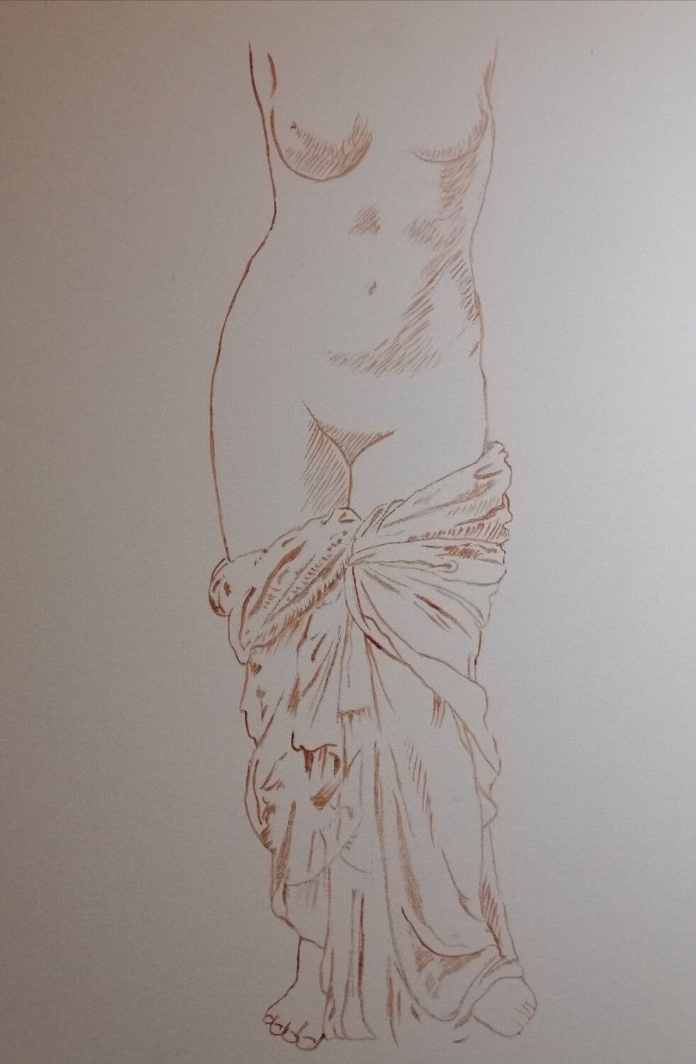 Venere anadiomene Silvio Ricci
