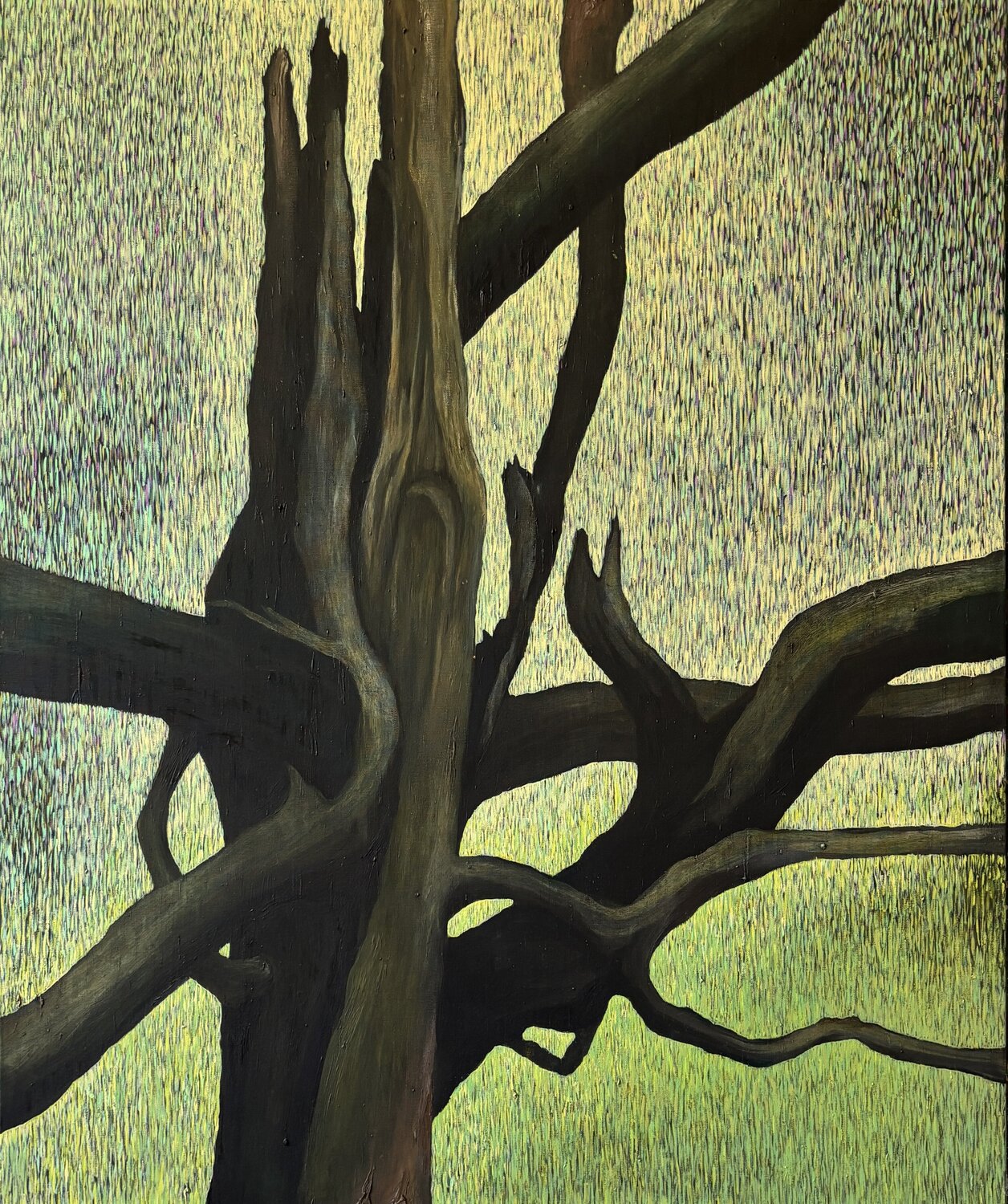 Pathways in the Trunk Jan Tichý