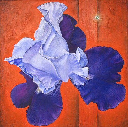 L'iris di Daniel OLIVIER, Pittura in vendita su Singulart