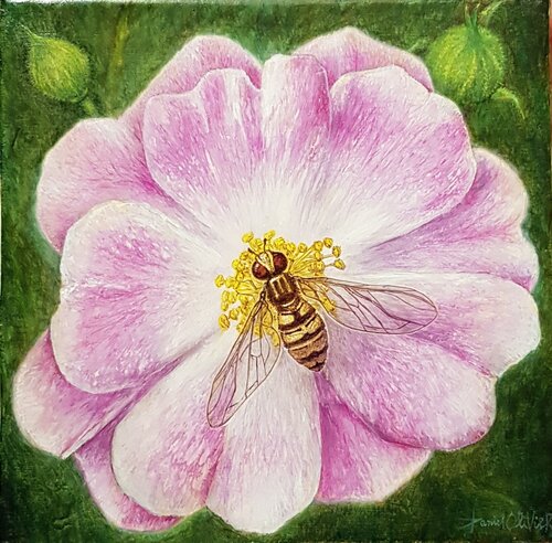 Églantine by Daniel OLIVIER, Painting for Sale on Singulart