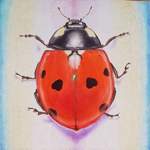 La coccinelle er le puceron van Daniel OLIVIER, Schilderij te koop op Singulart