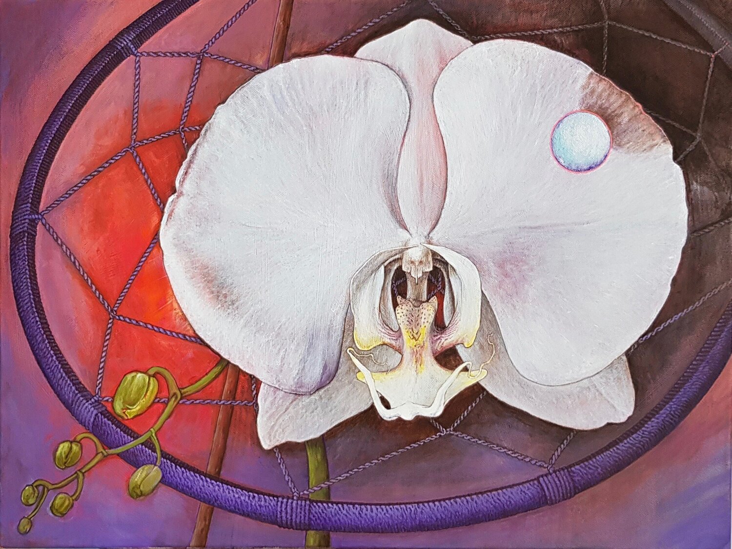Rêve d'orchidée Daniel OLIVIER