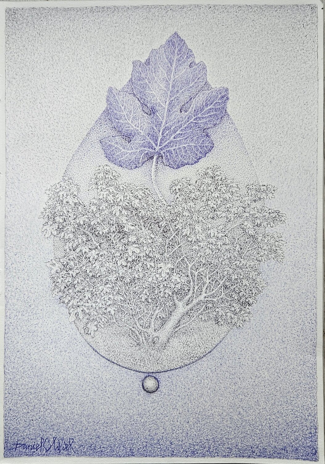 Sans titre Daniel OLIVIER