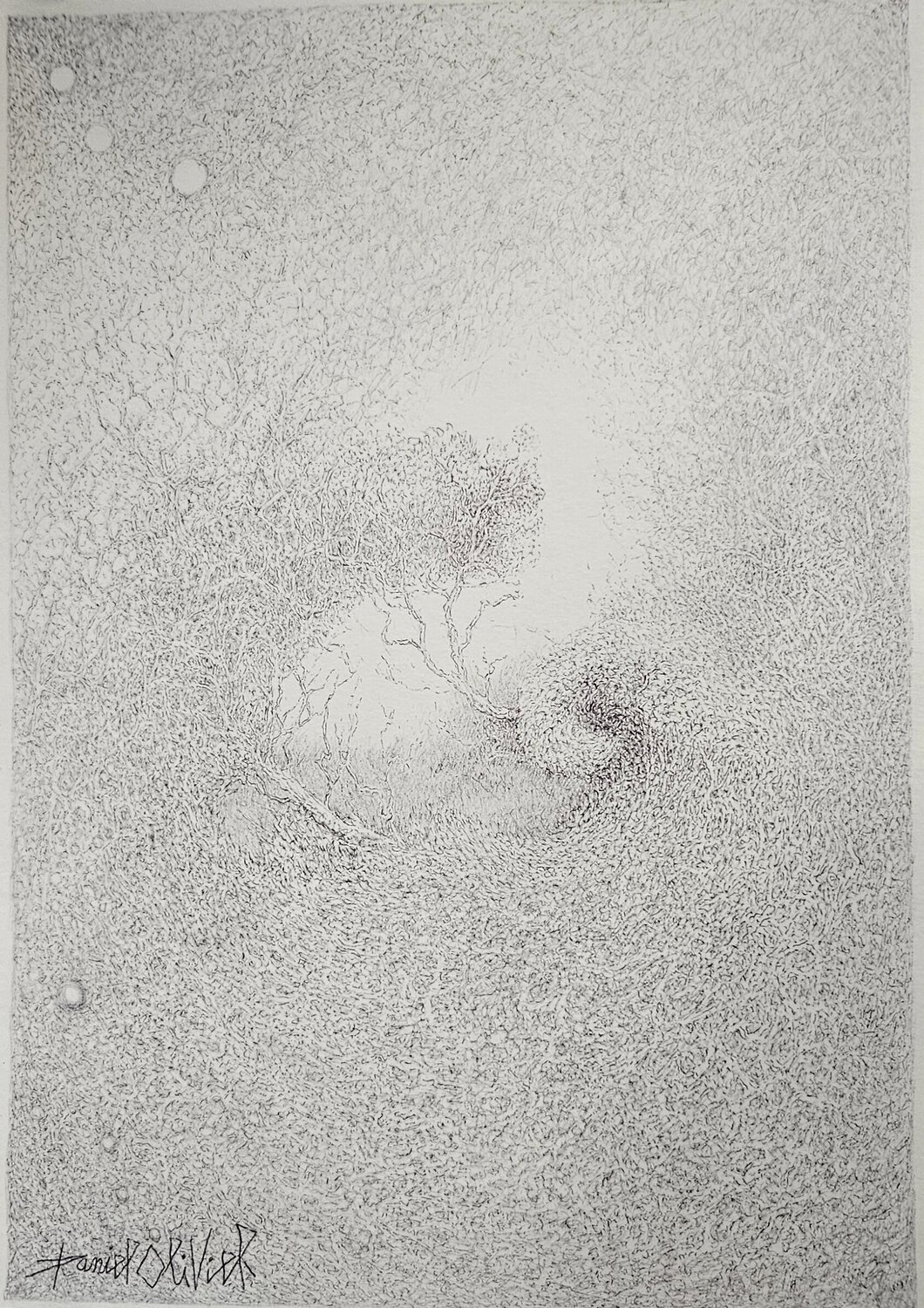 Sans titre Daniel OLIVIER