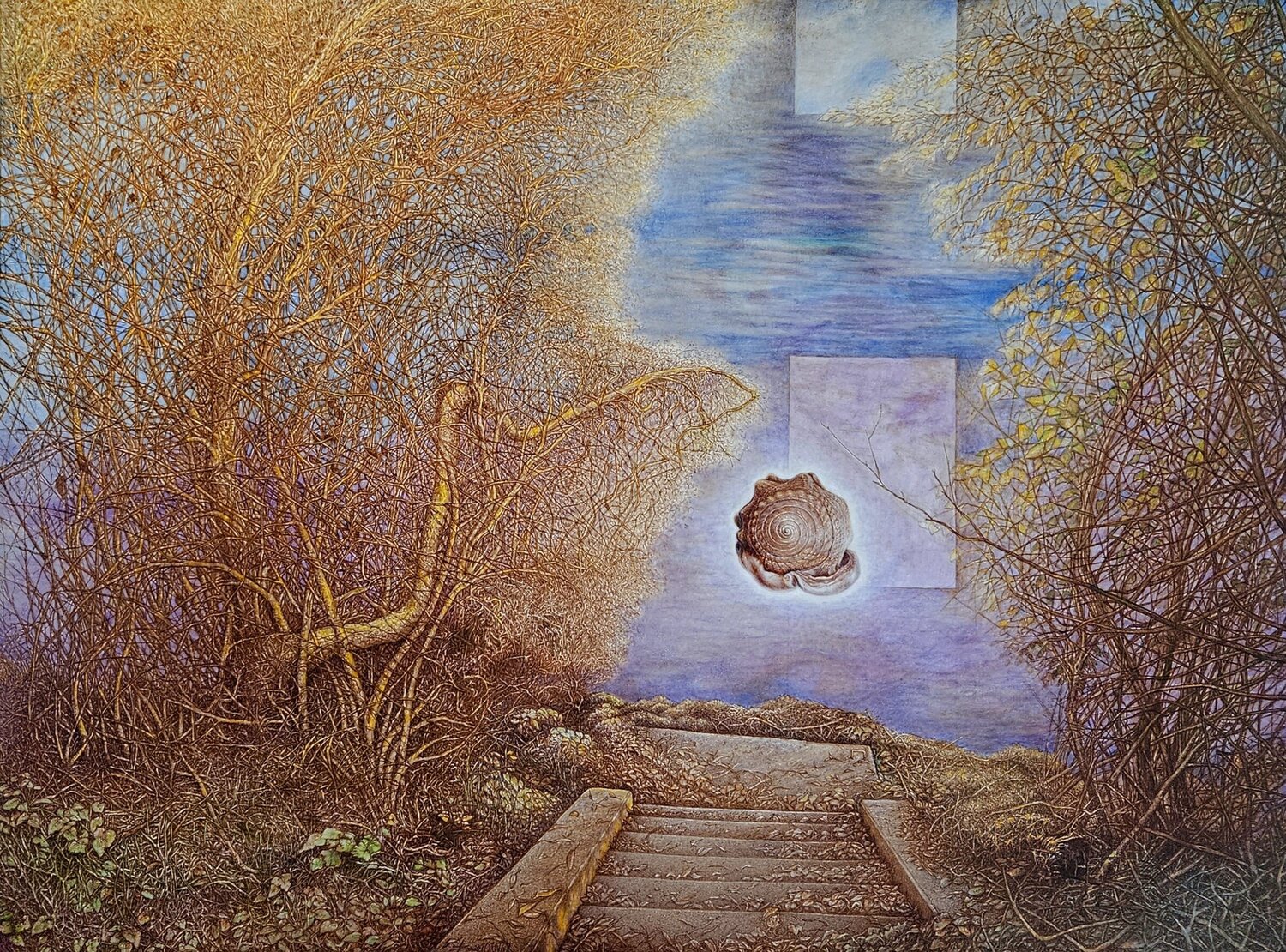 La promesse de l'eau Daniel OLIVIER