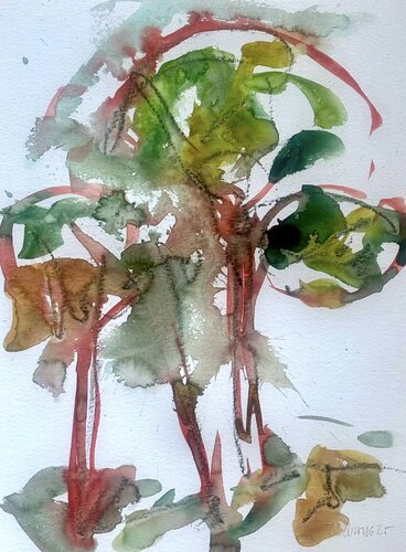 Pinien bei Vetralla, Italien van Klaus-Jürgen Wittig, Schilderij te koop op Singulart