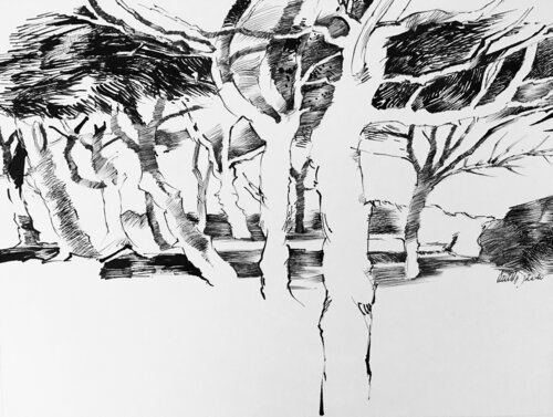 Futaie by Jean-François Vautrin, Work on Paper for Sale on Singulart