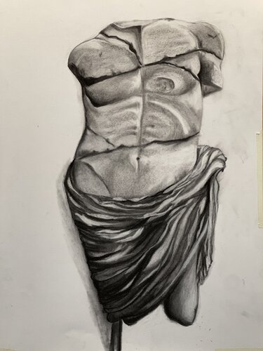 Male Anatomy - Charcoal drawing on 350gsm paper by Shams Kherani, 종이 for Sale on Singulart