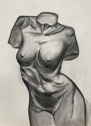 Female Anatomy - Charcoal drawing on 350gsm paper von Shams Kherani, Zeichnungen kaufen auf Singulart