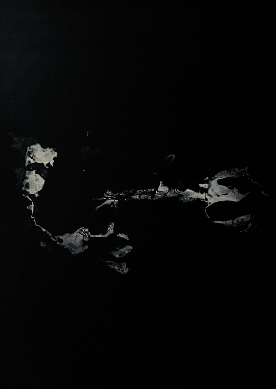 "Of The Future" Anton Kaestner