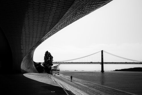 A Run by the River von Pedro Patrício, Fotografie kaufen auf Singulart