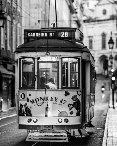 Early Morning Tram von Pedro Patrício, Fotografie kaufen auf Singulart