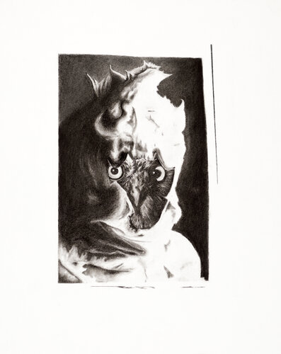 HEADS_Eulenportrait di Rebekka Brunke, Disegno in vendita su Singulart