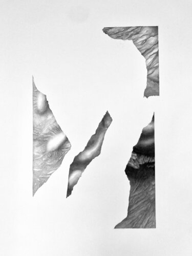 Es gibt keine Form, die Bestand hat III by Rebekka Brunke, Drawing for Sale on Singulart