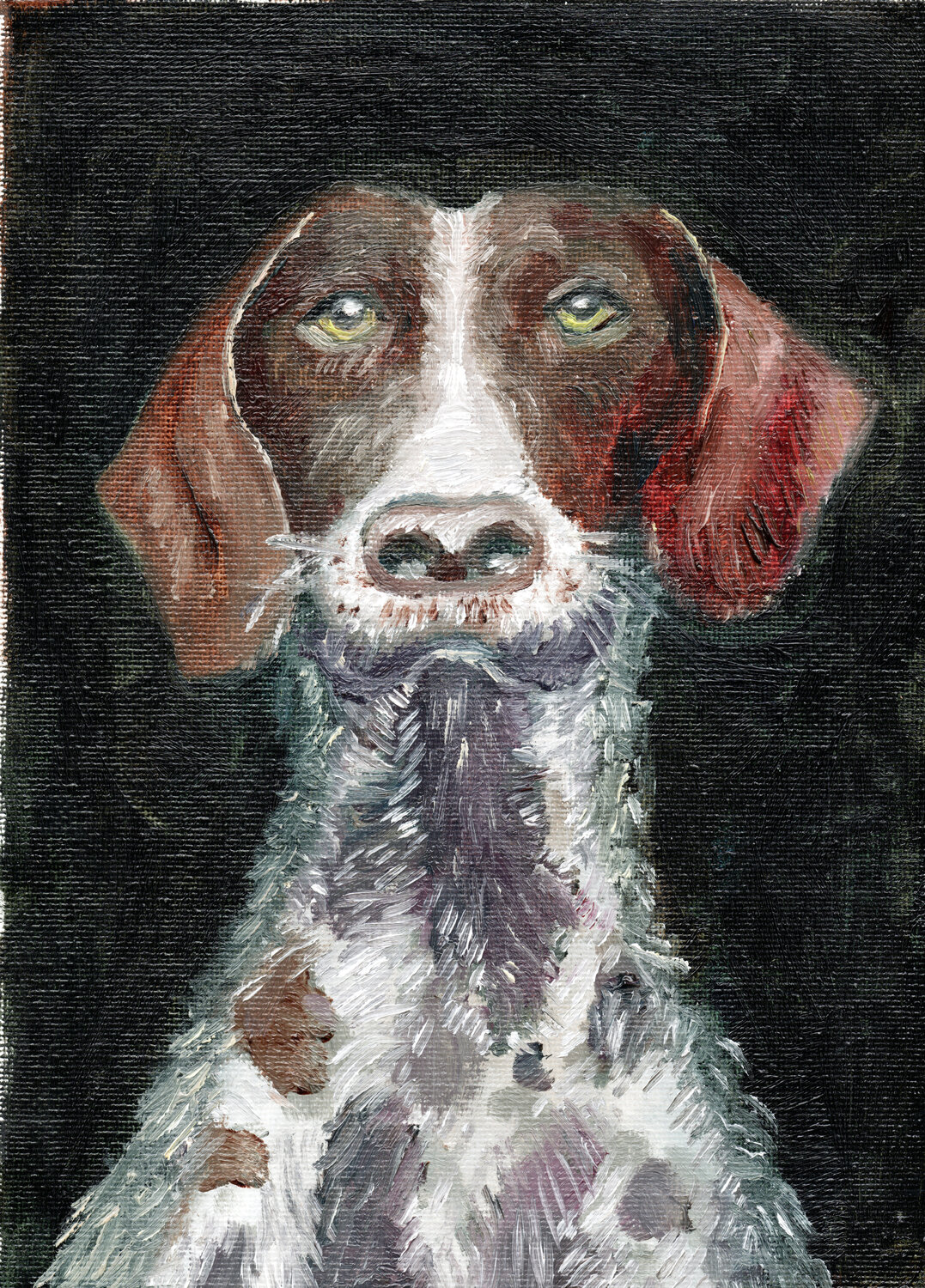 Perro 03 Laurianne Lopez