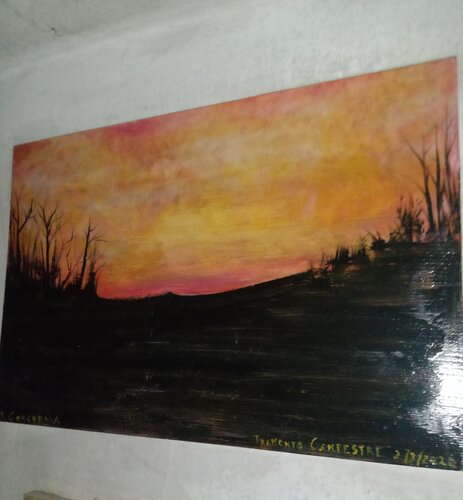 Tramonto campestre van Marina concordia, Schilderij te koop op Singulart