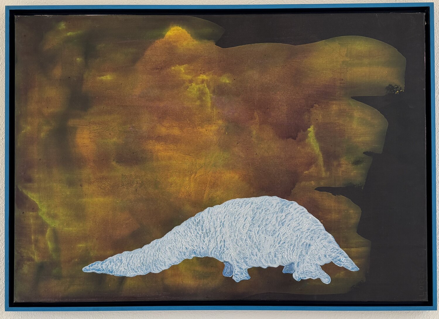 Rettet den Pangolin Rolf Lorenz