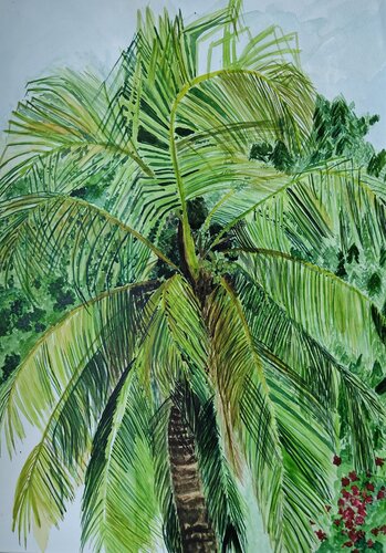 Rain-washed Palms de Shaiba Rajesh, Obra en papel a la venta en Singulart