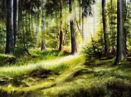 Forest Clearing von Annett Coumont, Malerei kaufen auf Singulart