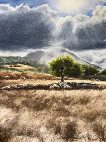 Countryside Mallorca von Annett Coumont, Malerei kaufen auf Singulart