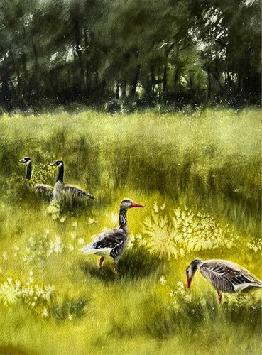 Spaziergang der Wildgänse by Annett Coumont, Painting for Sale on Singulart