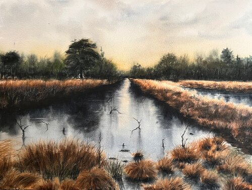 Mystic Moor van Annett Coumont, Schilderij te koop op Singulart