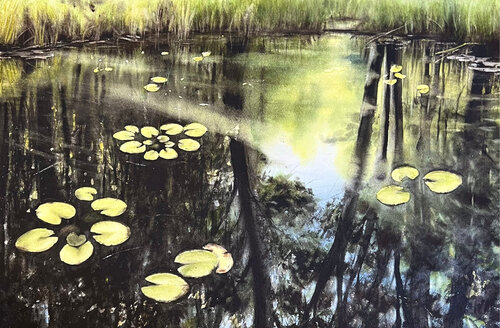 Nature's Reflections Annett Coumont