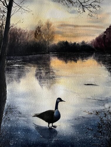 Wild Goose by Annett Coumont, Painting for Sale on Singulart