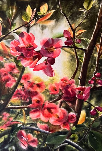 Flowering Quince de Annett Coumont, Pintura a la venta en Singulart
