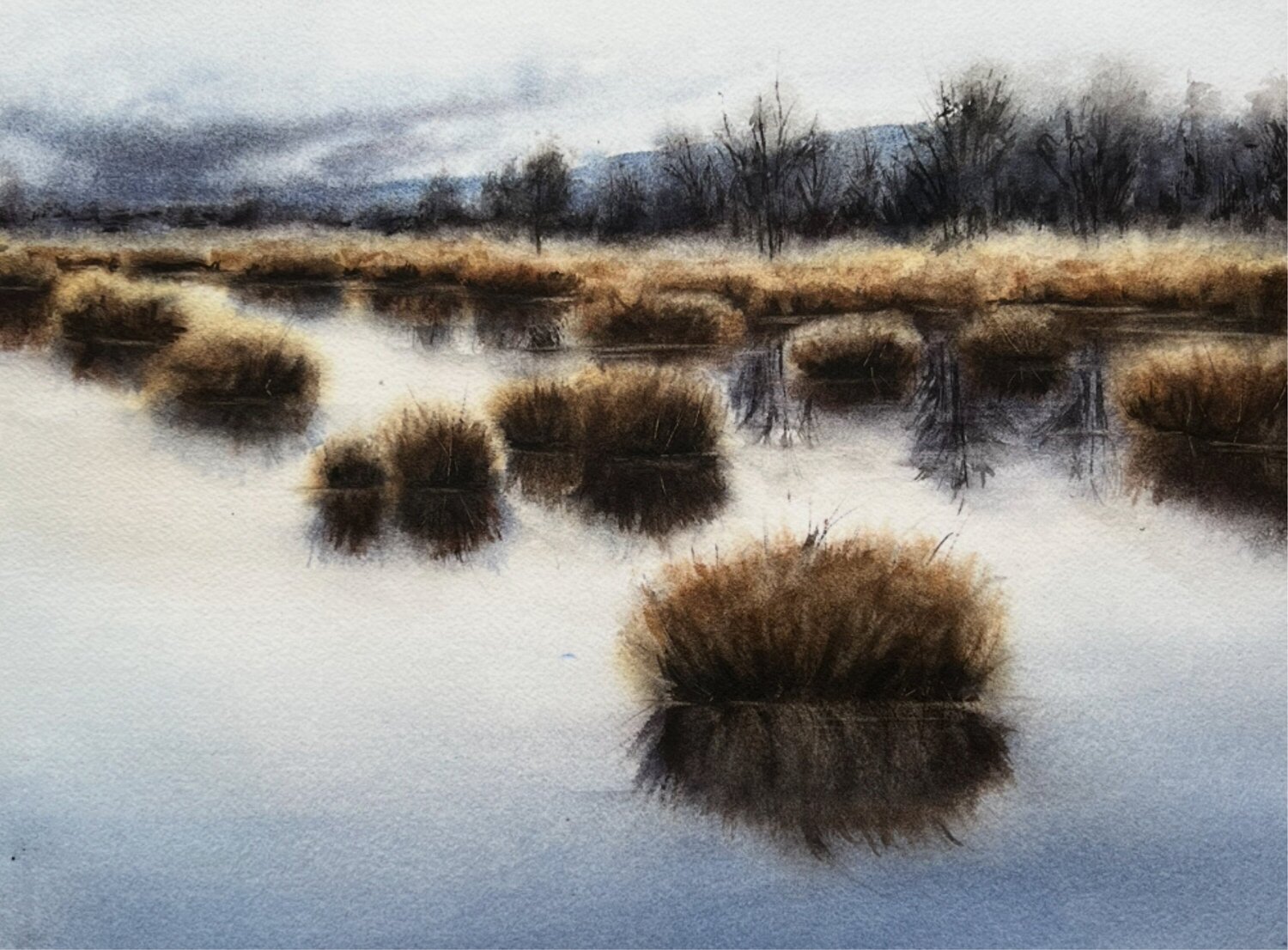 Moorlands I Annett Coumont