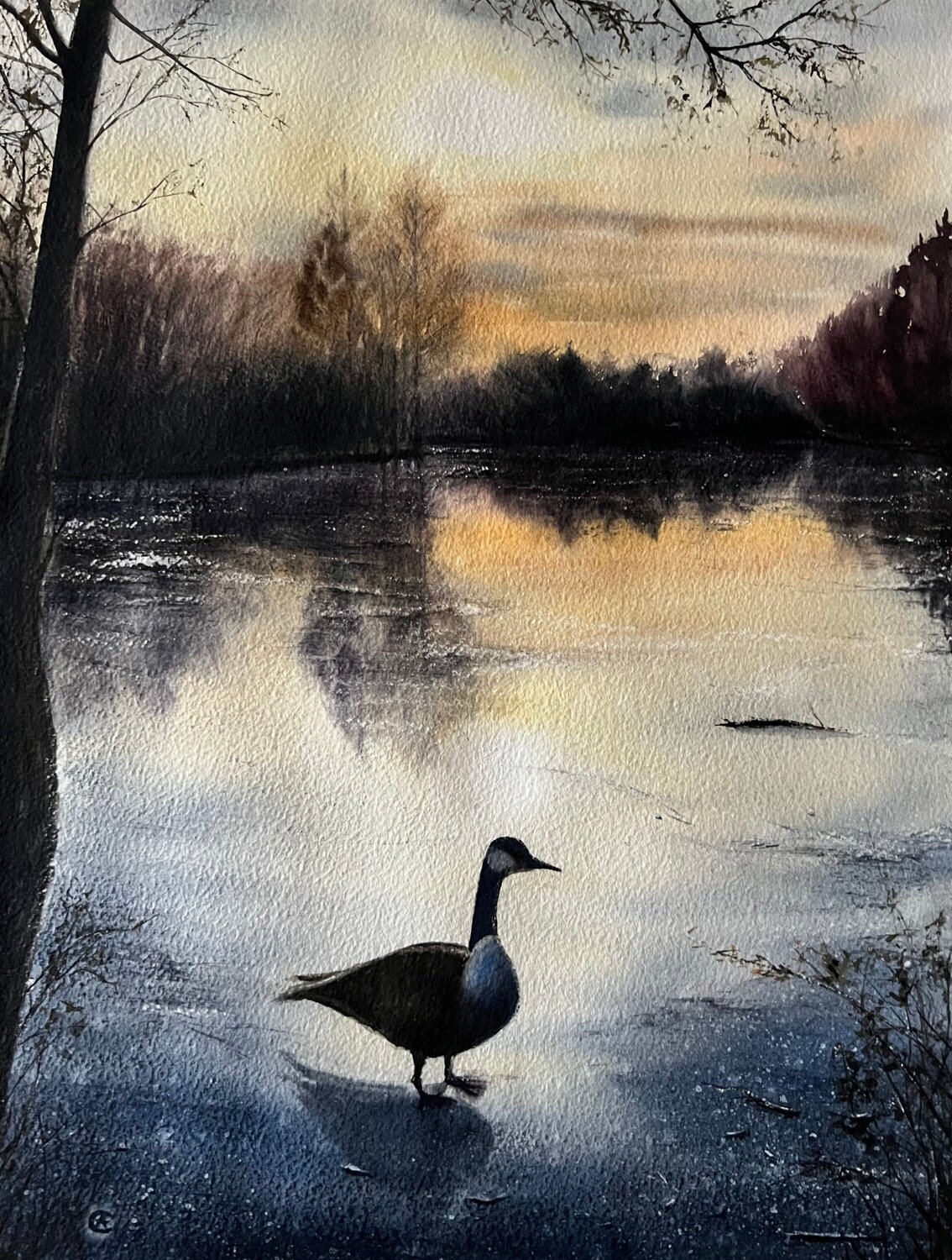 Wild Goose Annett Coumont
